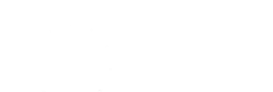 The Airborne Institute